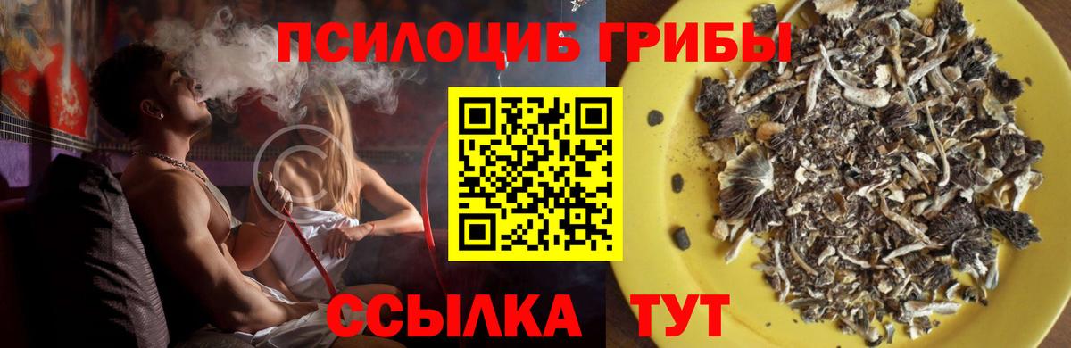 Белебей  где купить наркотик  Вход с VPN  Псилоцибиновые грибы GOLDEN TEACHER 